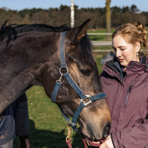 Paardensporter?